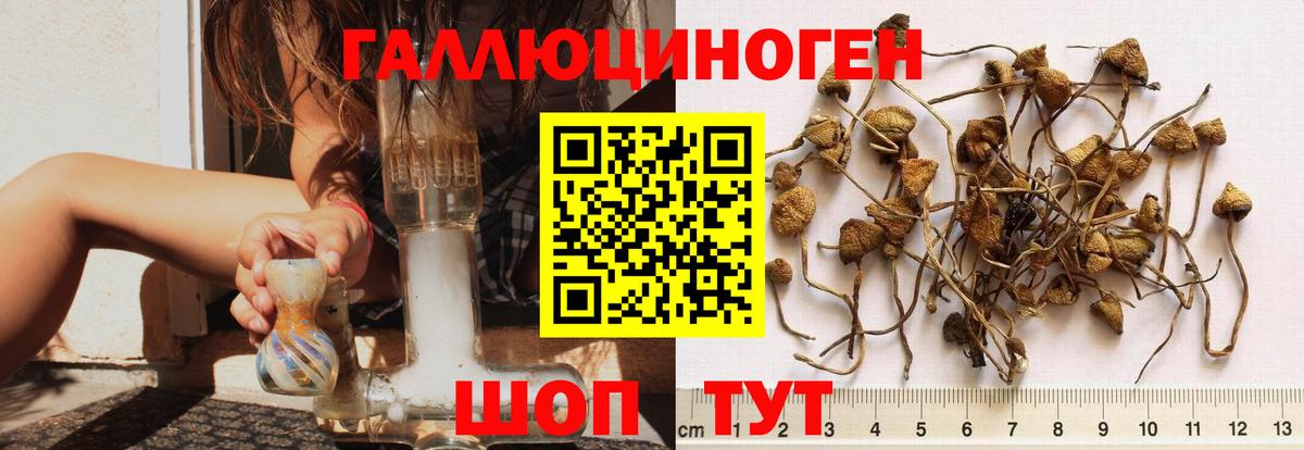 Галлюциногенные грибы прущие грибы  Вход с VPN  купить наркотики цена  Большой Камень 